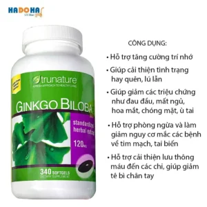 Công dụng Viên uống bổ não ginkgo biloba 120mg 340 viên của Mỹ