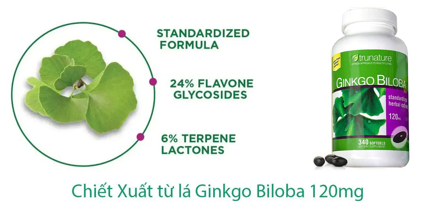 Giới thiệu Viên uống bổ não ginkgo biloba 120mg 340 viên của Mỹ