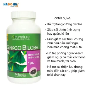 Công dụng Viên uống bổ não ginkgo biloba 120mg 340 viên của Mỹ