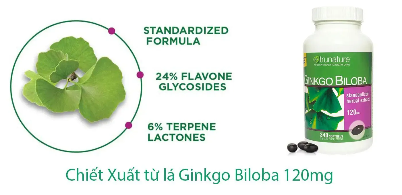 Giới thiệu Viên uống bổ não ginkgo biloba 120mg 340 viên của Mỹ