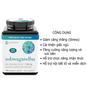 Công dụng Viên Ashwagandha Youtheory nhân sâm Ấn Độ 1000mg 180 viên