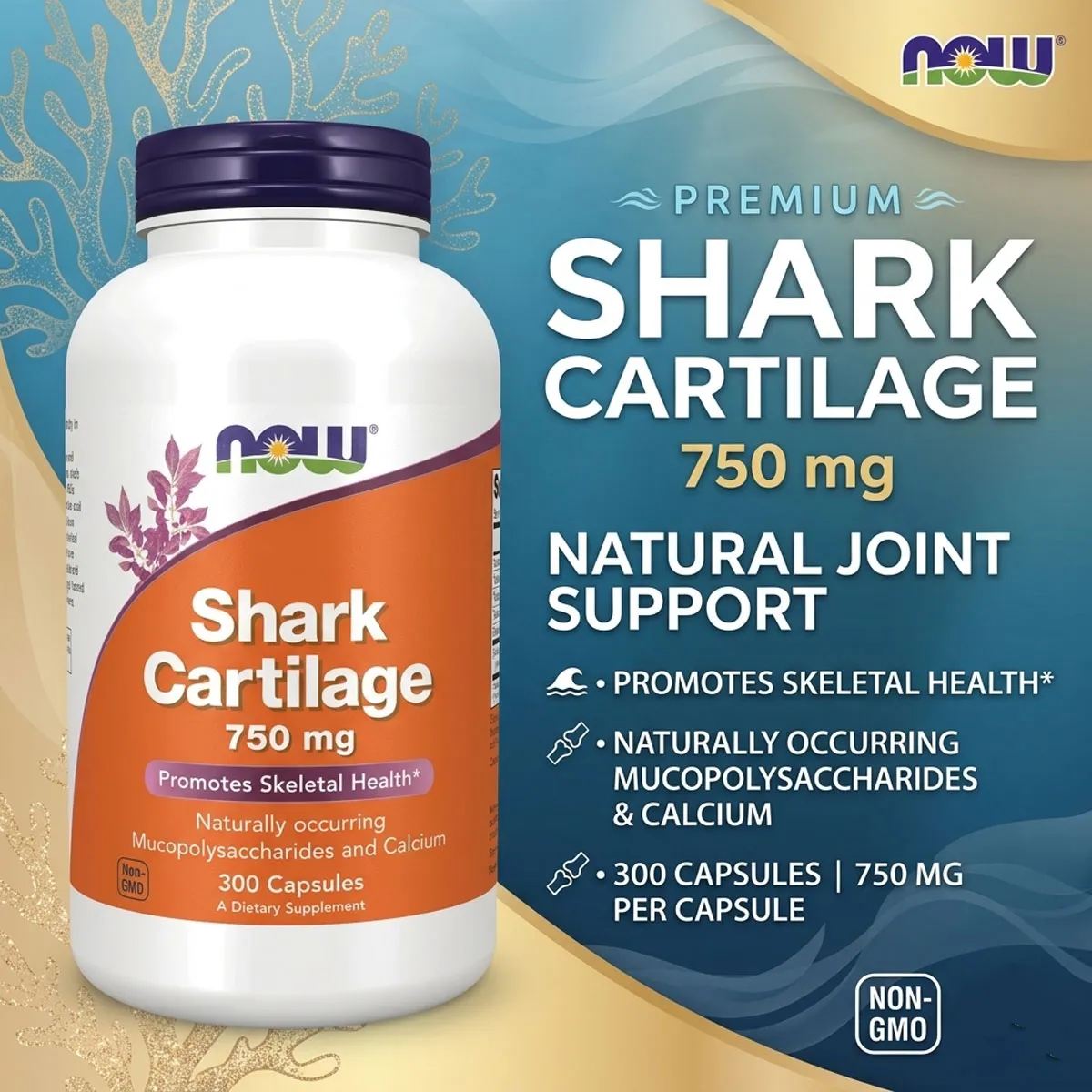 Giới thiệu Sụn cá mập Shark Cartilage 750mg Now 300 viên của Mỹ