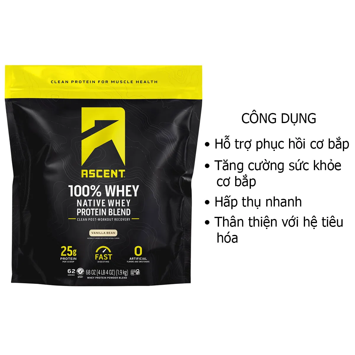 Công dụng Whey Tăng Cơ Ascent 100% Native Whey Protein Vani Mỹ Công dụng Whey Tăng Cơ Ascent 100% Native Whey Protein Vani Mỹ