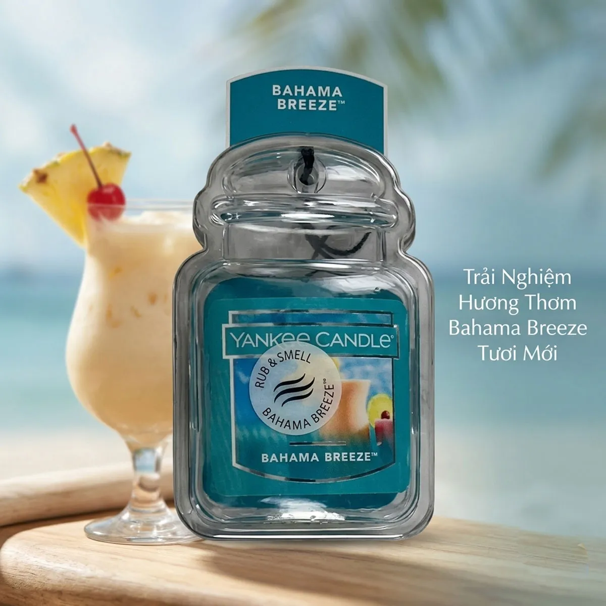 Sáp Thơm Treo Xe Ô Tô Yankee Candle Set 5 Hũ Mỹ - Ảnh 4